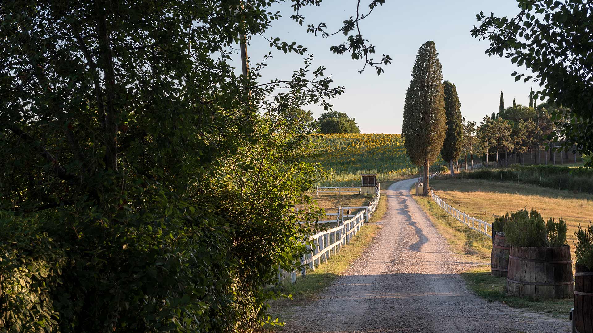 agriturismo-san-giovanni-ingresso