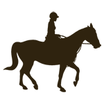 Scuola di equitazione di base per imparare ad andare a cavallo per adulti e bambini